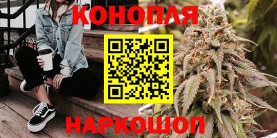 прущие грибы Донецк