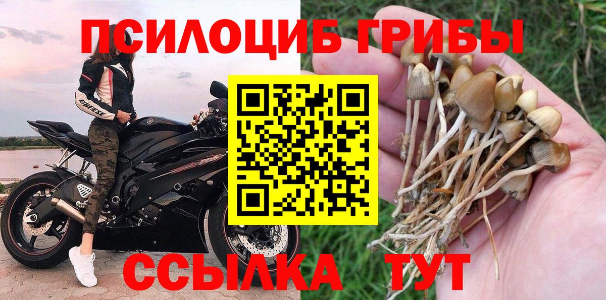 Минусинск  Галлюциногенные грибы Psilocybe  хочу наркоту  Вход с VPN 