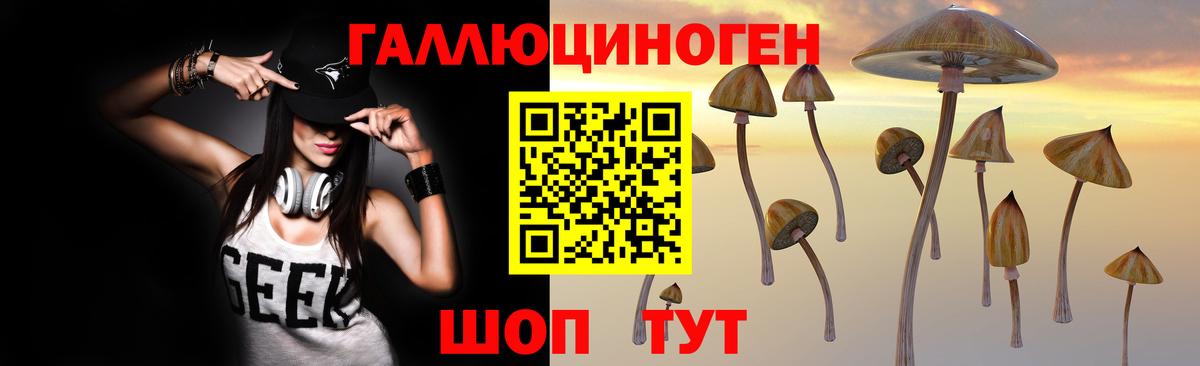 Псилоцибиновые грибы ЛСД Минусинск